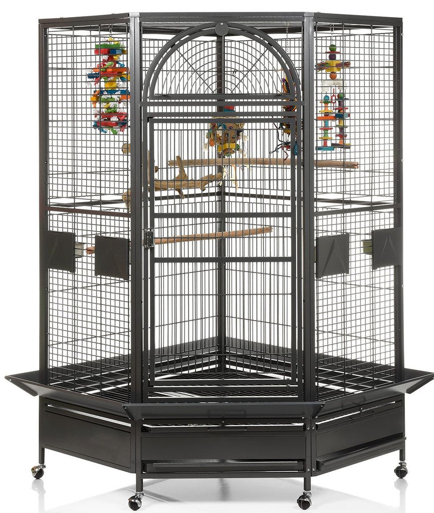 Buy A&E Cage Co. 42" Corner Cage Bird Cages Now