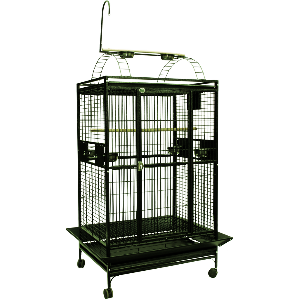 A&E Cage Co. 40"x30" Imperial Play Top Bird Cage Big & Beautiful