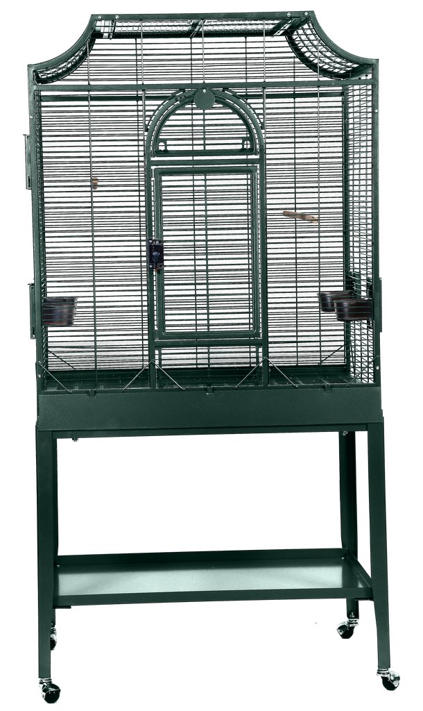 A&E Cage Co. 32"x21"x61" Elegant Flight Cage with Opening Top