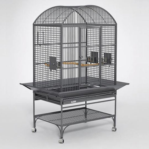 Best on sale bird cages