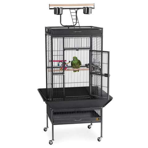 Small Bird Cages