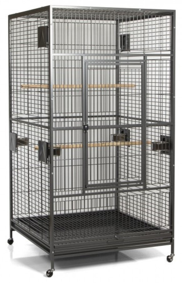 A&E Cage Co. 40"x40" Macaw Flight Cage