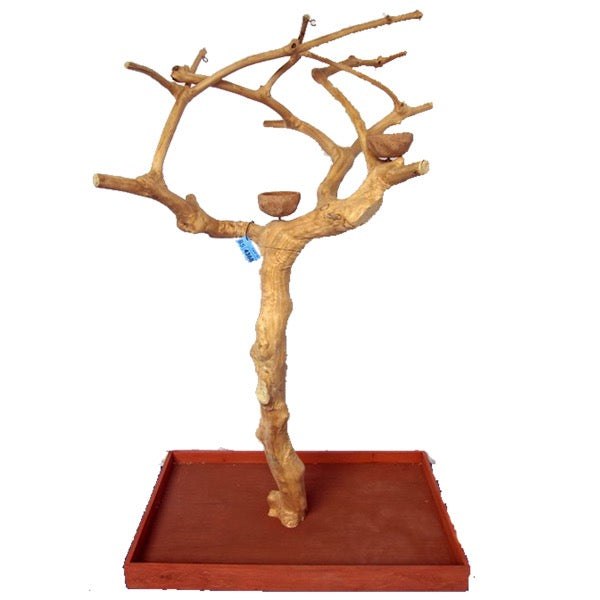 A&E Cage Co. Small Java Wood Tree Floor Play Stand