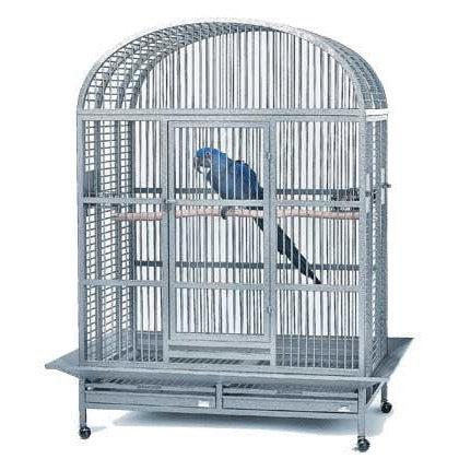 Avian Adventures Hacienda Dometop Bird Cage