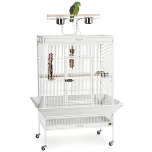 Prevue Hendryx Signature Series Playtop X-Large Bird Cage