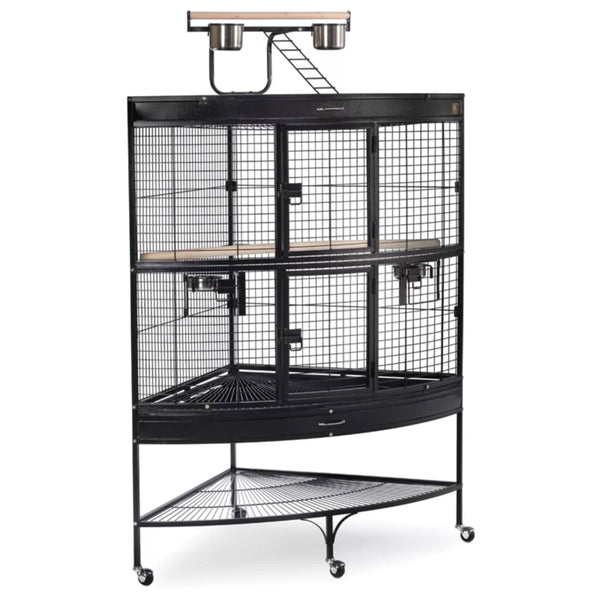 Bird cage corner shelf sale