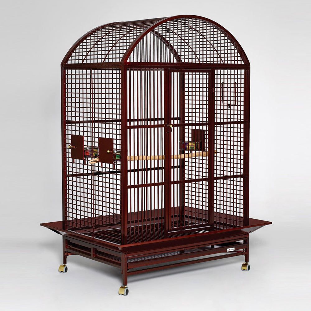 Avian Adventures Grande Dometop Bird Cage