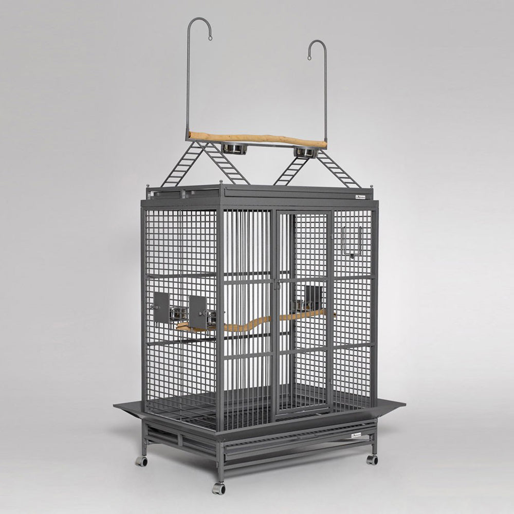 Avian Adventures Grande Playtop Bird Cage