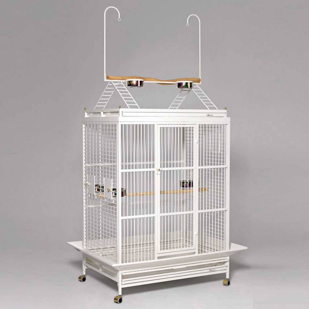 Avian Adventures Grande Playtop Bird Cage