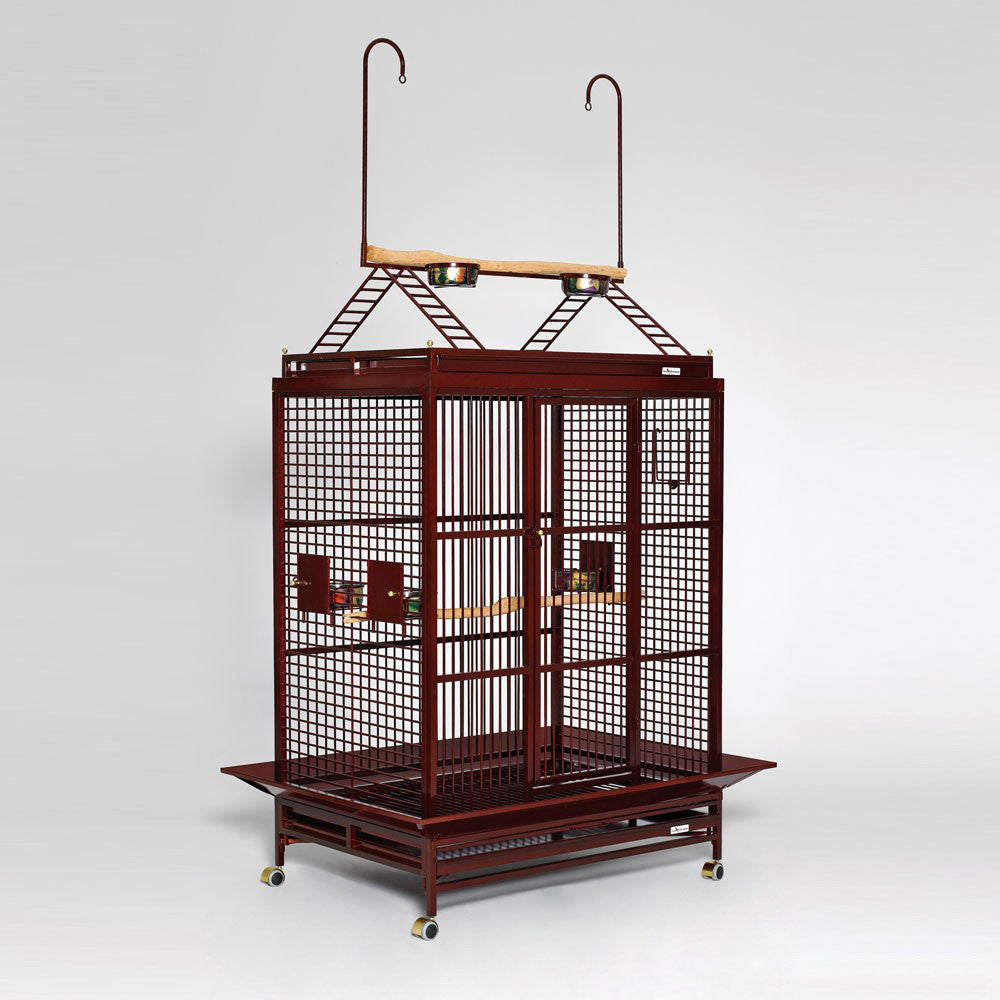 Avian Adventures Grande Playtop Bird Cage